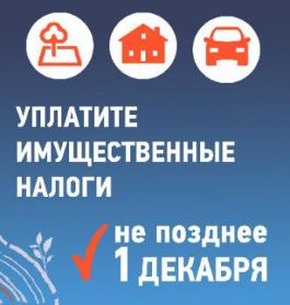 Налоги