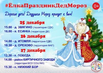 #ЕлкаПраздникДедМороз